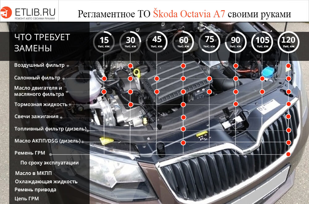 Регламент ТО Шкода Октавія А7