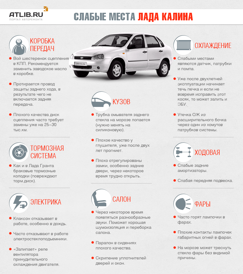 Калина слабкі місця