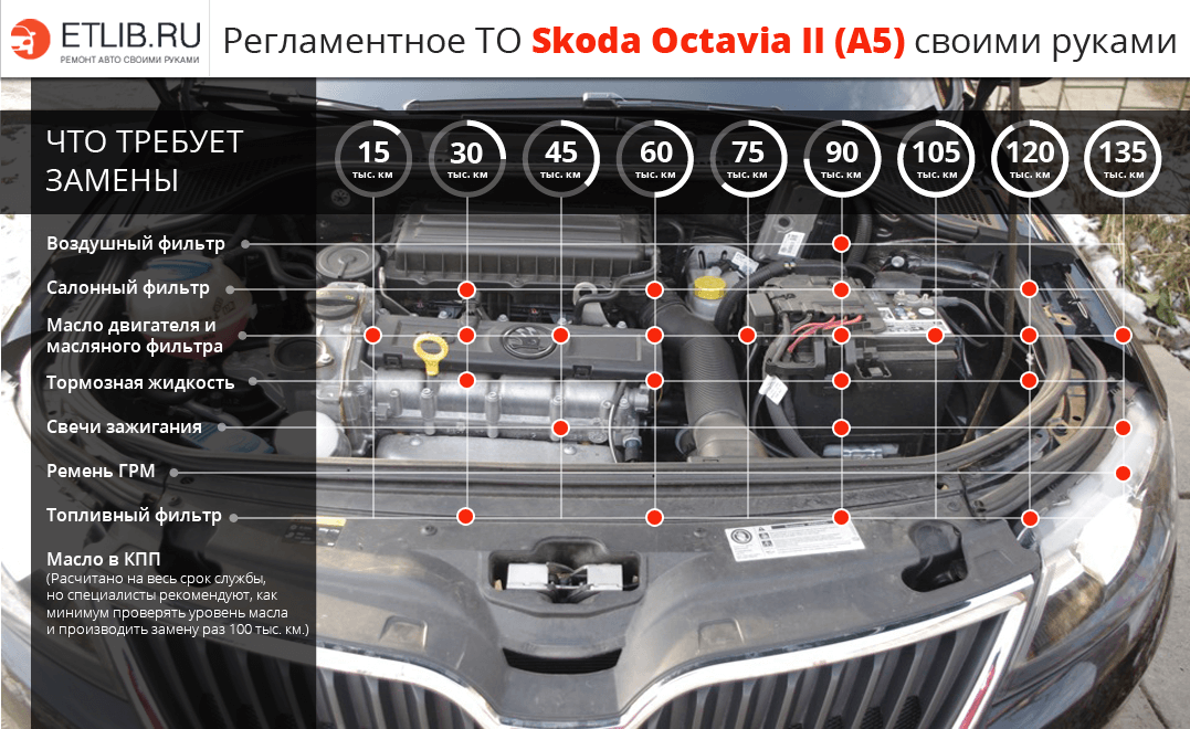 Регламентне ТО Skoda Octavia 2 (A5) своїми руками
