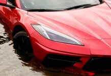 Corvette Underwater: водій із Флориди таємничим чином викинув спортивний автомобіль за 60 тисяч доларів у ставок